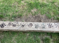 Forest-School-Website
